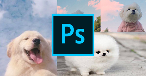 Photoshop là gì và tại sao nó được sử dụng để ghép ảnh?
