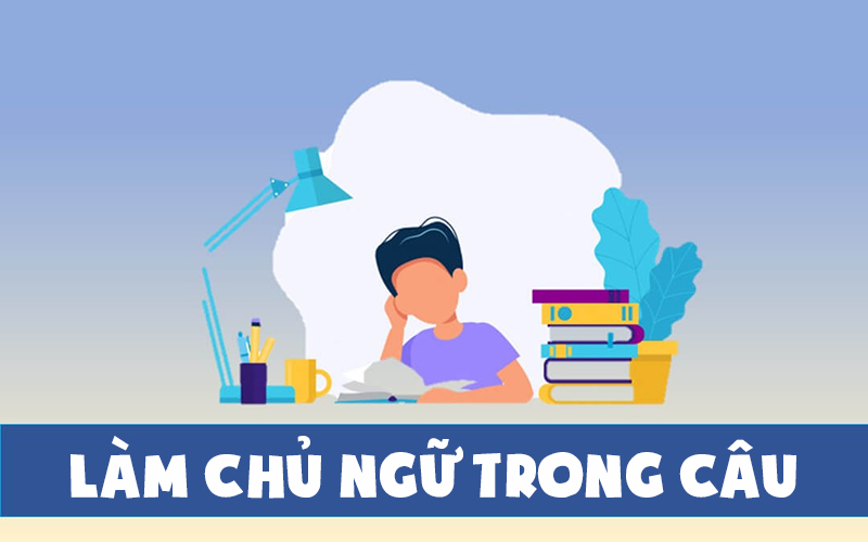 Danh từ thường đứng ở đầu câu và đứng trước động từ trong câu