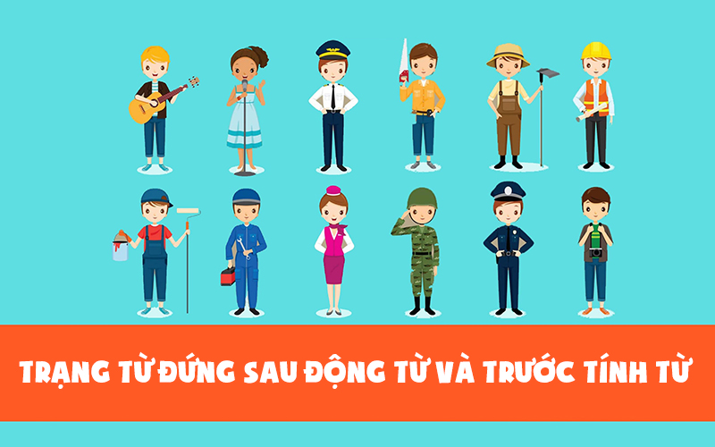 Trạng từ thường đứng sau động từ và trước tính từ