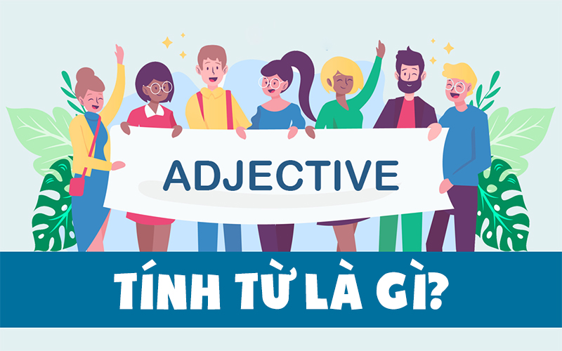 Tính từ là những từ có vai trò giúp bổ trợ cho danh từ