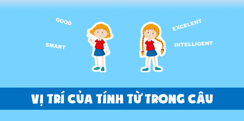 Trong câu, các tính từ đứng trước danh từ sẽ kết hợp thành cụm danh từ