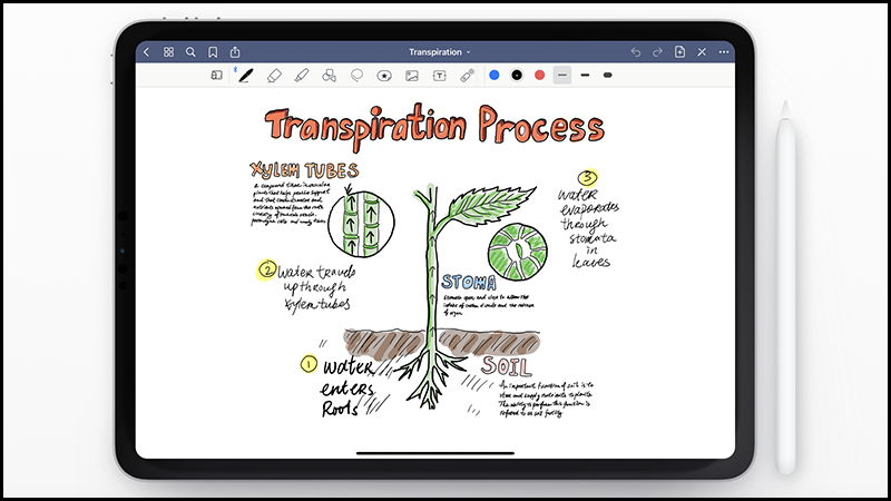 10 app ghi chú xịn sò dành cho iPad, dùng được với Apple Pencil ...