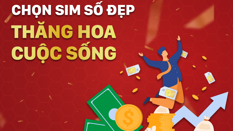 Cách chọn SIM đầu số 0919