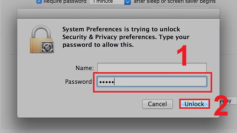Nhập mật khẩu mở file rồi bấm Unlock