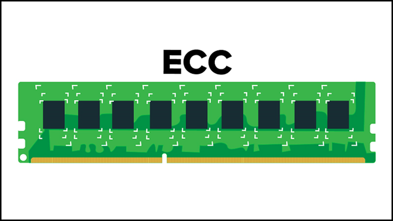 ram-ecc-la-gi