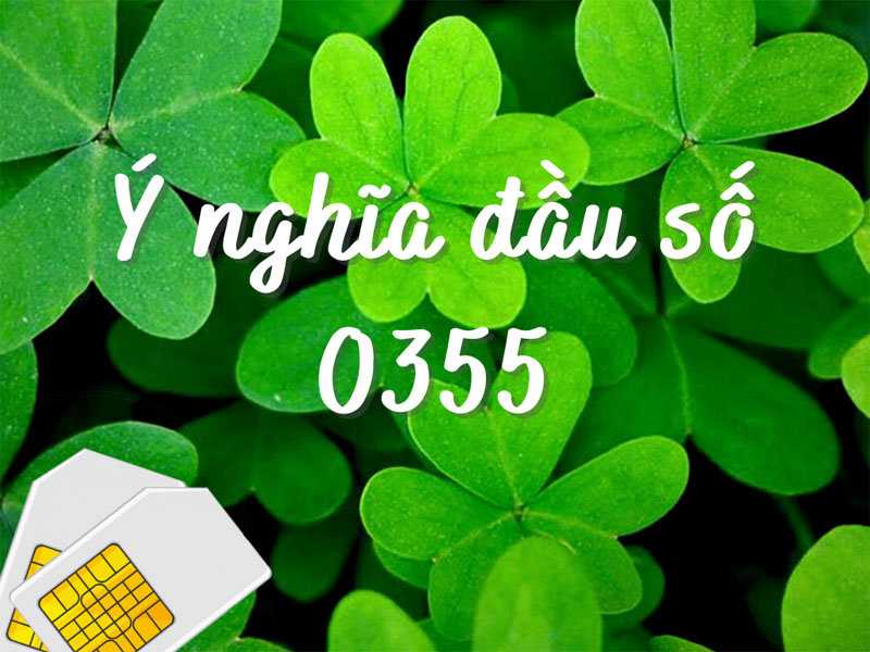 Phân tích ý nghĩa những con số trong đầu số 0355