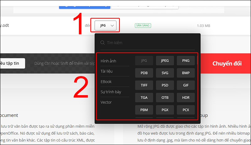 Chọn định dạng bạn muốn chuyển