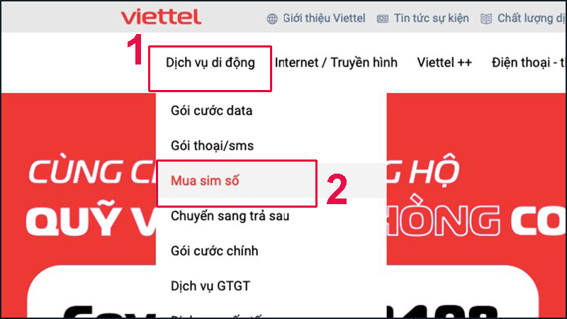 Bạn hãy truy cập trang chủ Viettel để mua SIM
