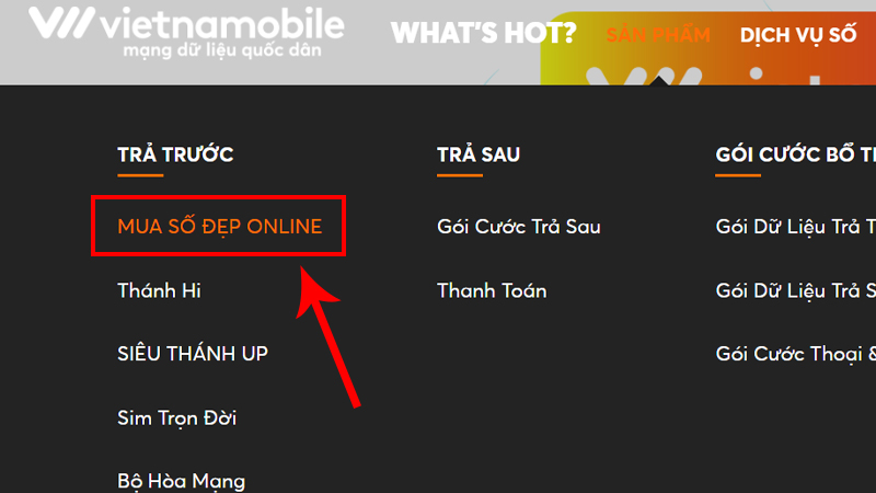 Chọn mục MUA SỐ ĐẸP ONLINE