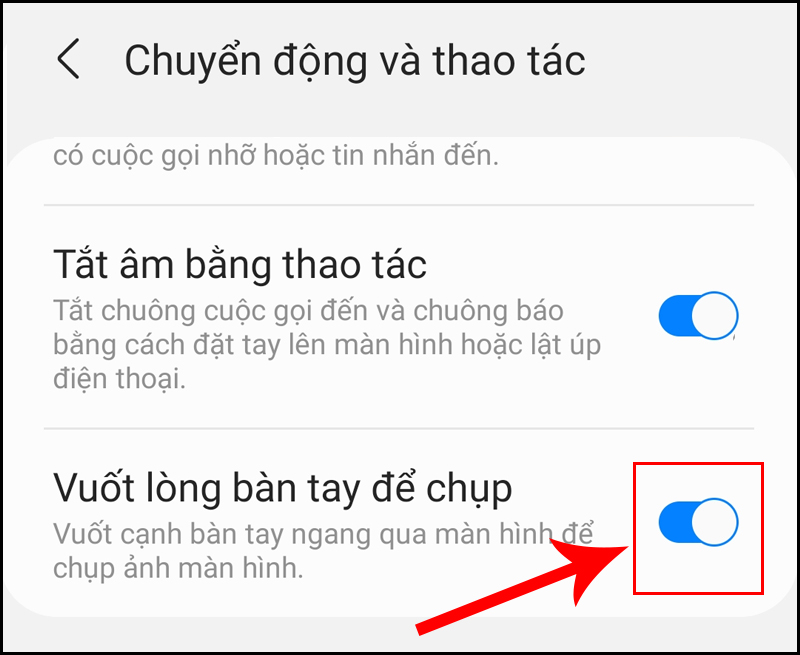 Bật tính năng Vuốt lòng bàn tay để chụp