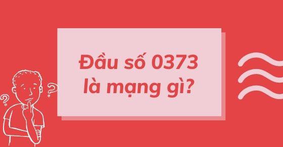 Đầu số 0373 là mạng gì? Ý nghĩa của đầu số 0373? Có phải số phát tài?