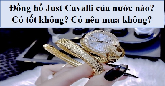 Đồng hồ Just Cavalli của nước nào? Có tốt không? Có nên mua không?
