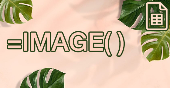Làm thế nào để sử dụng hàm IMAGE vlookup để chèn hình ảnh vào bảng tính?
