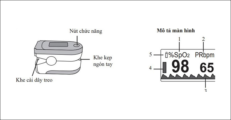 Cấu tạo của máy đo SpO2 cầm tay