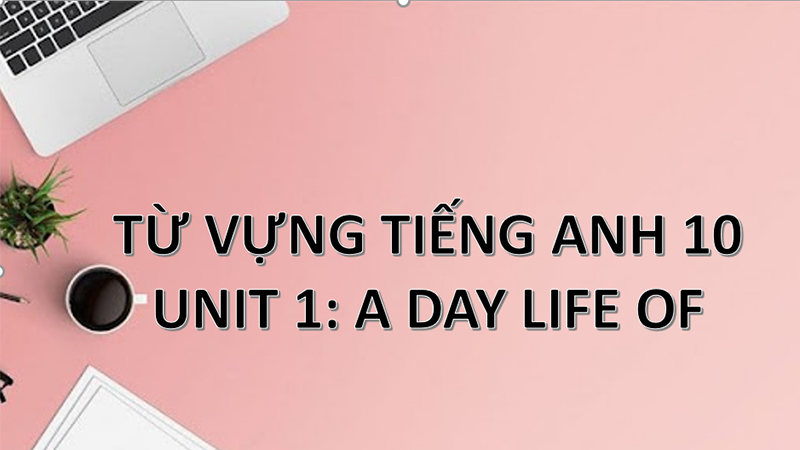 Tổng hợp từ vựng và ngữ pháp tiếng Anh lớp 10 đầy đủ, chi tiết nhất