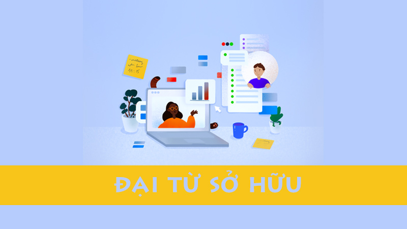 Đại từ sở hữu