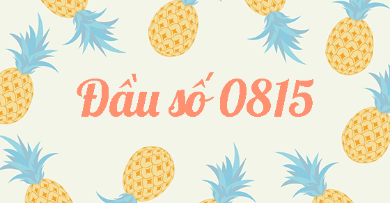 Đầu số 0815 là mạng gì? Ý nghĩa của đầu số 0815? Có phải số may mắn?