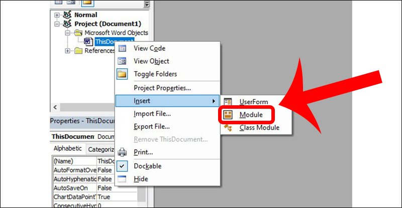 Mở lệnh Module từ ThisDocument