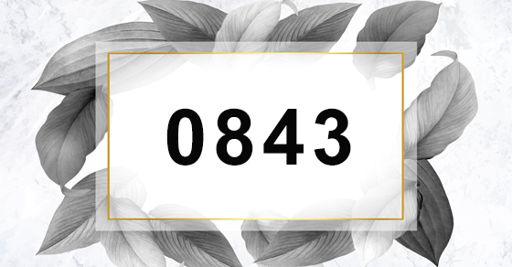 Đầu số 0843 là mạng gì? Ý nghĩa của đầu số 0843? Có phải số may mắn?