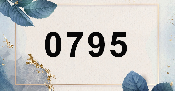 Đầu số 0795 là mạng gì? Ý nghĩa của đầu số 0795? Có phải là số đẹp?