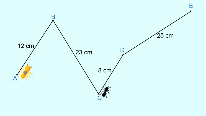 Hình vẽ của bài 6