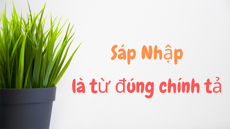 Sáp nhập mới là từ đúng chính tả