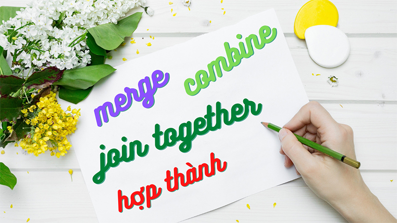 Sáp nhập có đa dạng từ đồng nghĩa trong cả ngôn ngữ tiếng Việt lẫn ngôn ngữ tiếng Anh
