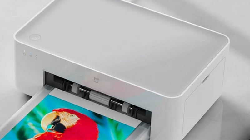  M&aacute;y chia sẻ m&aacute;y in trong mạng LAN kh&ocirc;ng bật