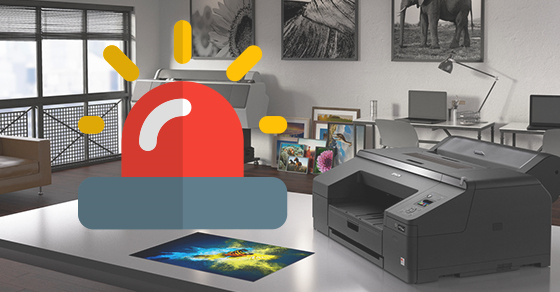 Máy in Canon 2900 báo đèn đỏ - Nguyên nhân và cách khắc phục đơn giản