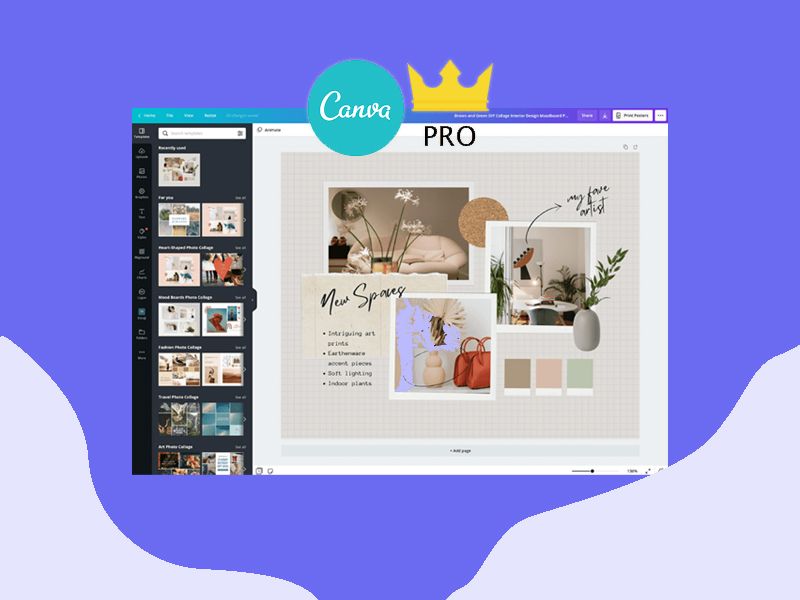 Minh hoạ Canva Pro