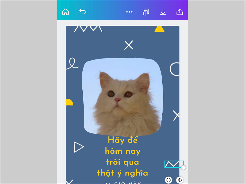 Kết quả sau khi cắt