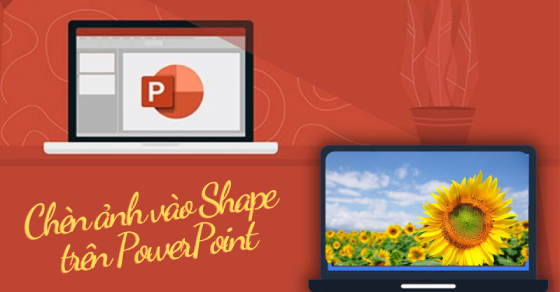 Tutorial cách chèn ảnh vào powerpoint đẹp For Visual Appeal