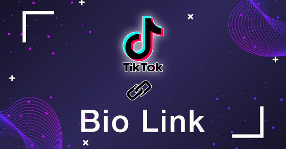 Video] Cách tạo Bio Link TikTok miễn phí bằng Canva cực đơn giản ...