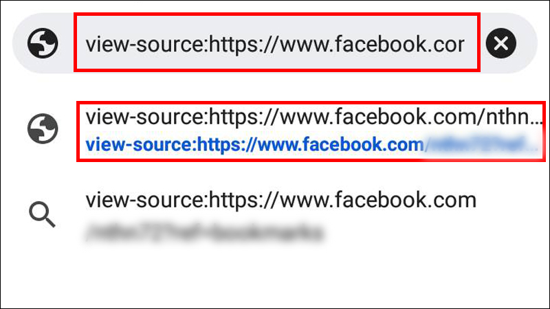 Thay đổi địa chỉ thành dạng dạng view-source:http://www.facebook.com/...