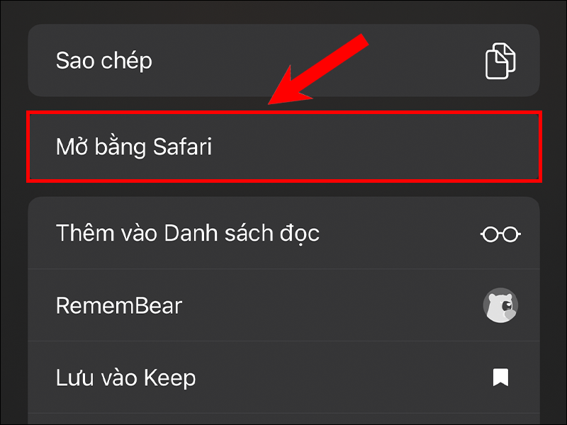 Bạn ấn chọn Mở trong Safari để mở bằng Google Drive