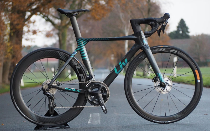 Thương hiệu xe đạp chuy&ecirc;n d&agrave;nh cho phụ nữ