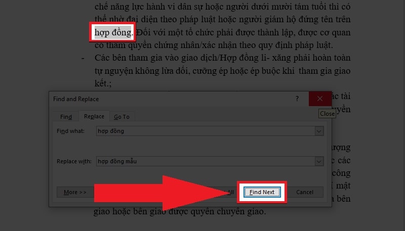 Nhấn Find Next để lần lượt tìm kiếm những từ, cụm từ bạn muốn