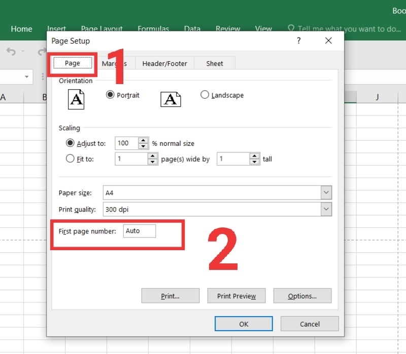 Cách In Theo Số Trang Trong Excel