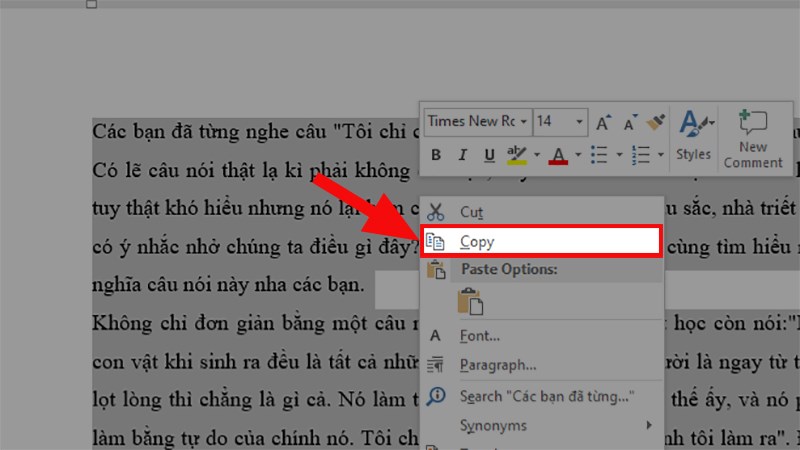 Nhấn chuột phải > Chọn Copy để sao chép văn bản Word vừa quét