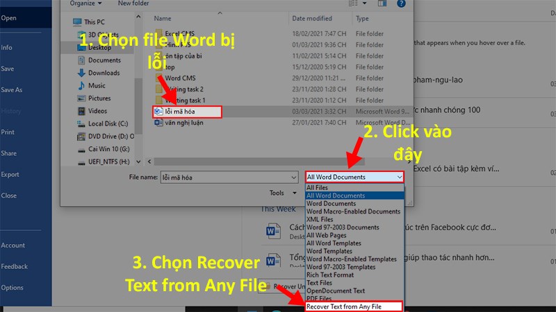 Click vào file mã hóa nhưng không được mở  Nhấn vào All Word Documents  Chọn Recover Text from Any File