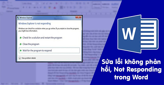 Có những phiên bản nào của Microsoft Word đã được phát hành?