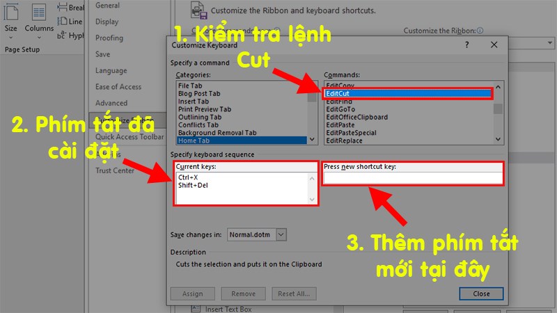 Kiểm tra lệnh EditCut (Lệnh cắt)