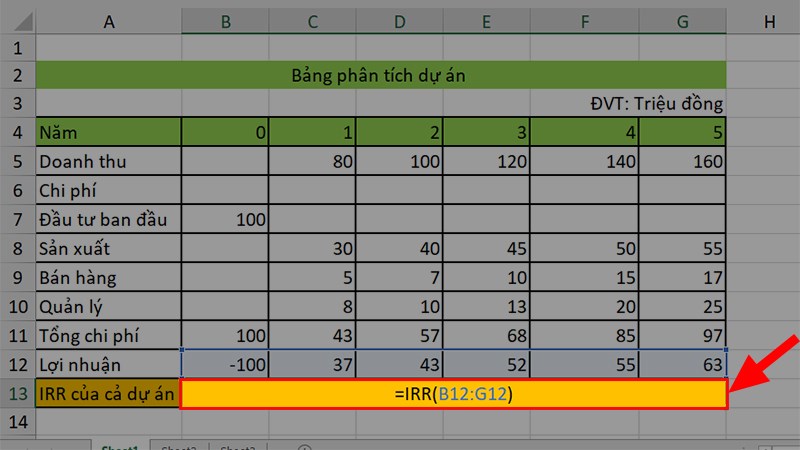 Nhập hàm: =IRR(B12:G12) để tính IRR cho cả dự án