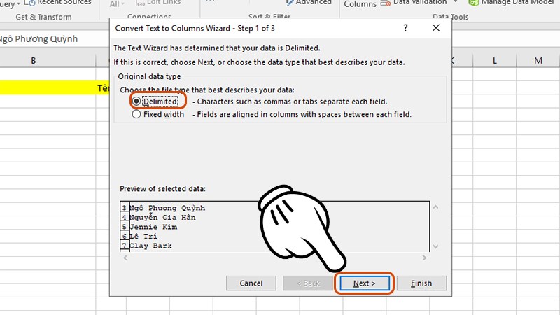 Chọn Delimited và nhấn Next