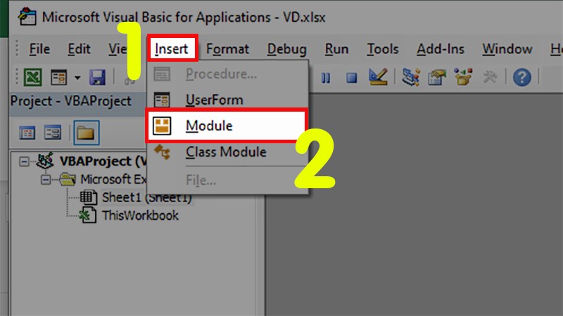 Chọn Insert  Nhấn vào Module