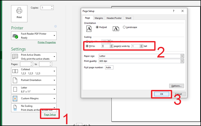 Chọn t&iacute;nh năng Fit to Page