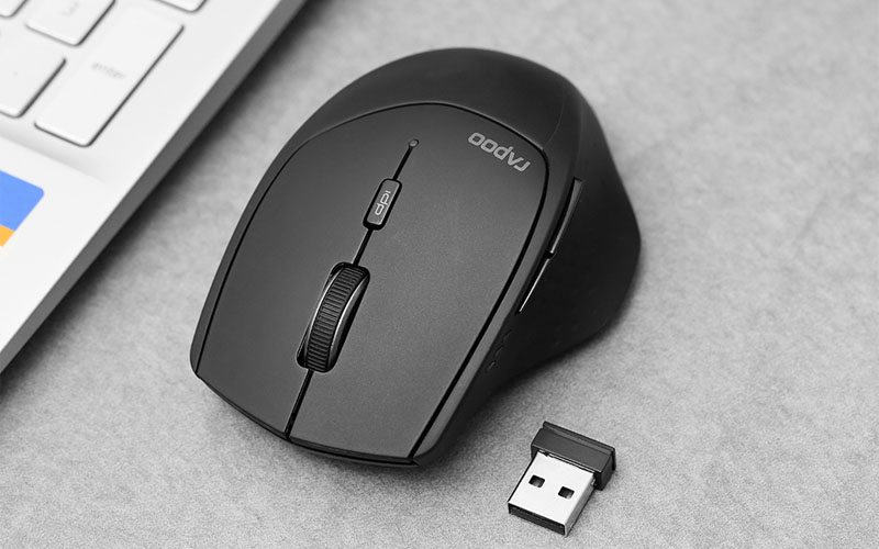 Ảnh minh họa chuột Rapoo