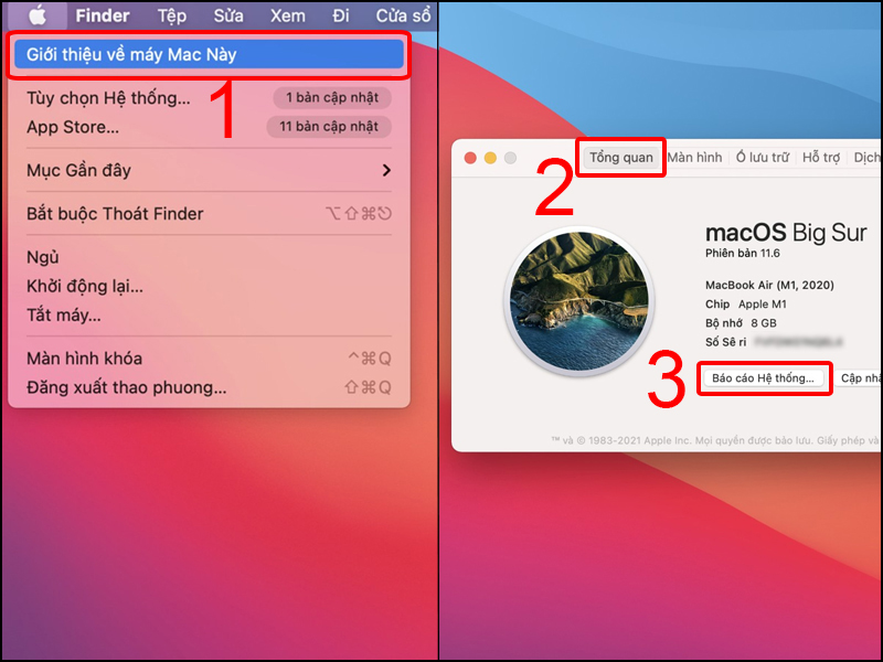 Vào Menu Quả táo > Giới thiệu về máy Mac này (About this mac) > Tổng quan (More Info) > Báo cáo hệ thống (System report)
