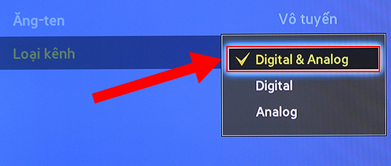 Chọn mục bao gồm cả Digital & Analog