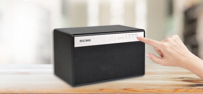 Loa Bluetooth Mozard BT100 có các công tắc điều chỉnh